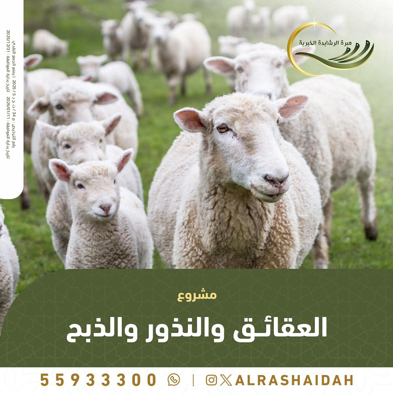 مشروع  العقائق والنذور والذبح